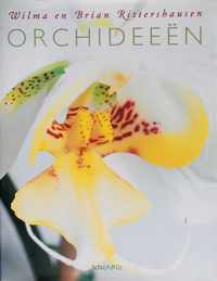 Orchideeen Een Praktische Gids