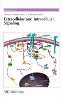 Extracellular and Intracellular Signaling