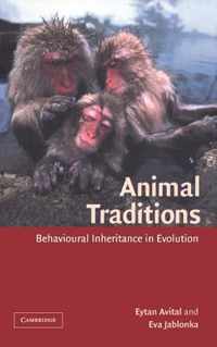 Animal Traditions