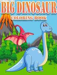 Big Dinosaur Coloring Book