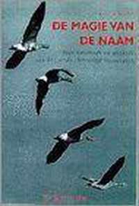 Magie van de naam