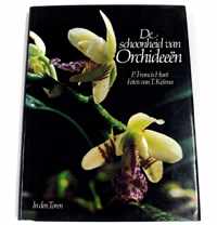 Schoonheid van orchideeen