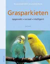 Grasparkieten