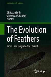 The Evolution of Feathers