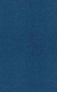 Leonardo Pisano (Fibonacci)