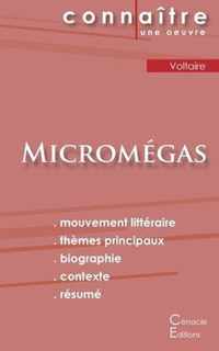 Fiche de lecture Micromegas de Voltaire (Analyse litteraire de reference et resume complet)