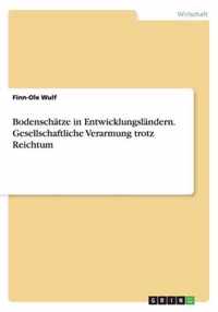 Bodenschatze in Entwicklungslandern. Gesellschaftliche Verarmung trotz Reichtum