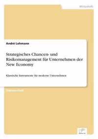 Strategisches Chancen- und Risikomanagement fur Unternehmen der New Economy