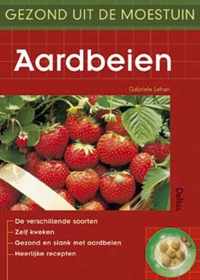 Aardbeien Gezond Uit De Moestuin