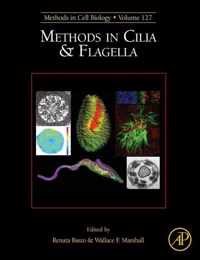 Methods in Cilia and Flagella