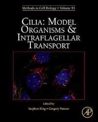 Cilia: Model Organisms and Intraflagellar Transport
