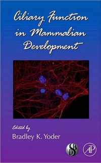 Ciliary Function in Mammalian Development