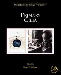 Primary Cilia