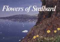 Flowers of Svalbard