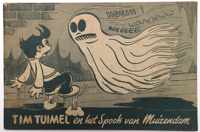 Tim Tuimel en het spook van Muizendam