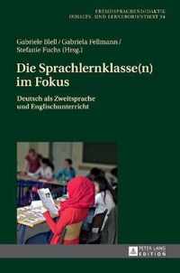 Die Sprachlernklasse(n) im Fokus