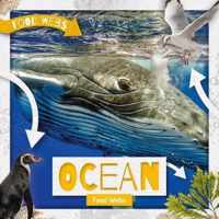 Ocean Food Webs