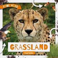 Grassland Food Webs