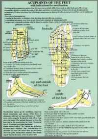 Acupoints of the Feet