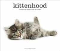 Kittenhood