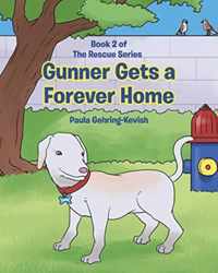 Gunner Gets a Forever Home