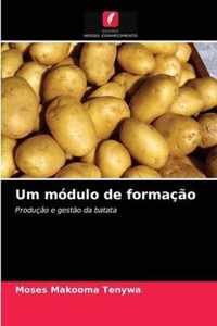 Um modulo de formacao