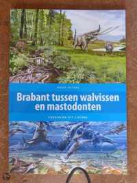 Tussen walvissen en mastodonte Fossielen uit Brabant