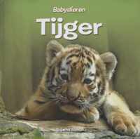 Babydieren  -   Tijger