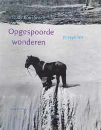 Opgespoorde wonderen