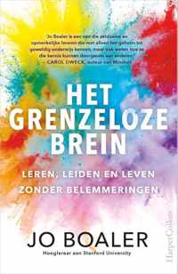 Het grenzeloze brein