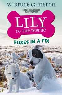 Lily to the Rescue: Foxes in a Fix