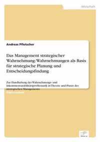 Das Management strategischer Wahrnehmung: Wahrnehmungen als Basis fur strategische Planung und Entscheidungsfindung