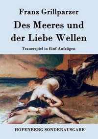 Des Meeres und der Liebe Wellen