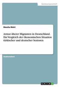 Armut alterer Migranten in Deutschland. Ein Vergleich der oekonomischen Situation turkischer und deutscher Senioren