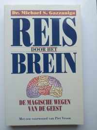 Reis door het brein