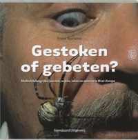 Gestoken of gebeten?