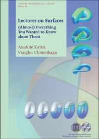 Lectures on Surfaces