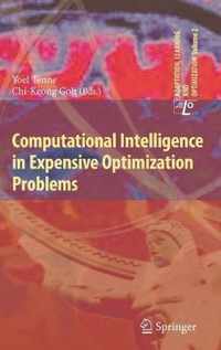 Computational Intelligence in Expensive Optimization Problems