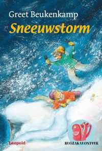 Sneeuwstorm