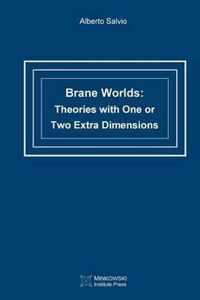 Brane Worlds