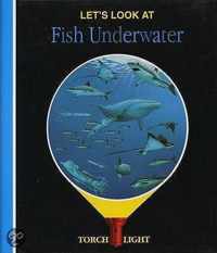 Let's Look At Fish Underwater