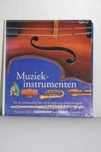 Muziekinstrumenten