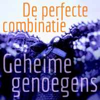 Erotische verhalen - De perfecte combinatie