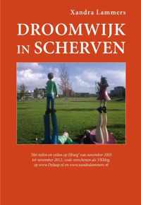 Droomwijk in scherven - Xandra Lammers - Paperback (9789462032378)