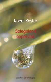 Spiegelend oppervlak - Koert Koster - Paperback (9789461935212)