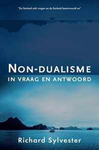 Non-dualisme in vraag en antwoord