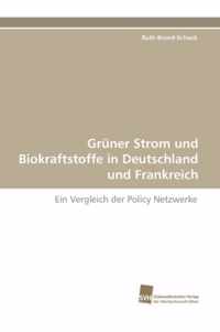 Gruner Strom Und Biokraftstoffe in Deutschland Und Frankreich