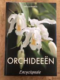 Geïllustreerde Orchideeën Encylopedie