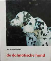 Dalmatische hond