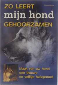 Zo leert mijn hond gehoorzamen